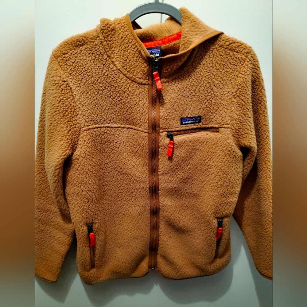 Patagonia retro pile hoody